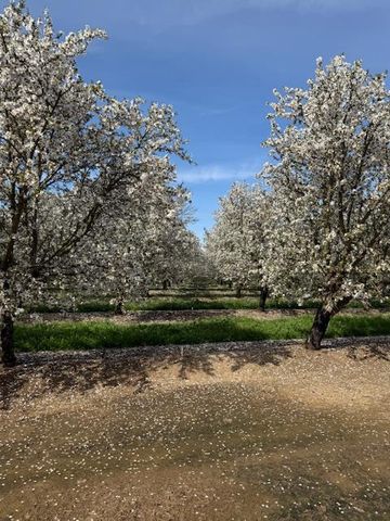 18413 Sycamore Ave, Patterson, CA 95363