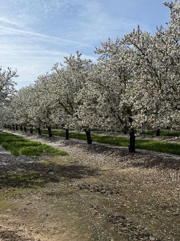 18413 Sycamore Ave, Patterson, CA 95363