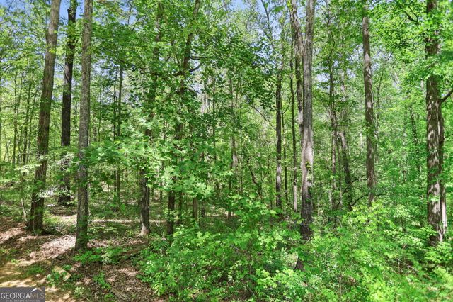 107 Trisha Lane, Grantville, GA 30220