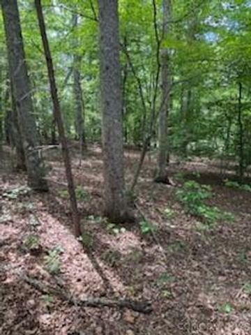 0 Smith Waldrop Road, Columbus, NC 28722