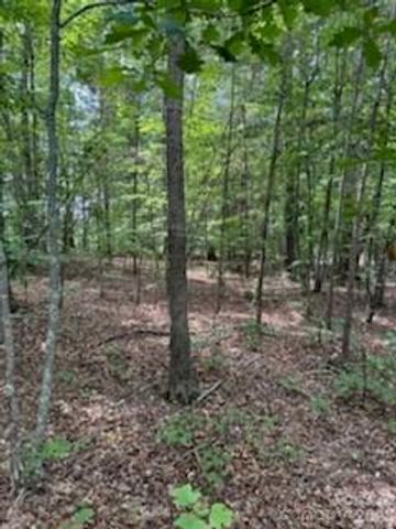 0 Smith Waldrop Road, Columbus, NC 28722