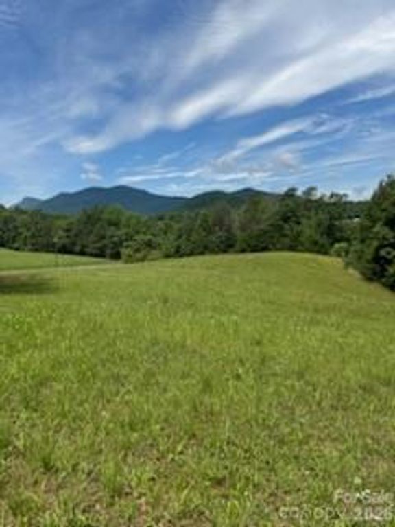 0 Smith Waldrop Road, Columbus, NC 28722