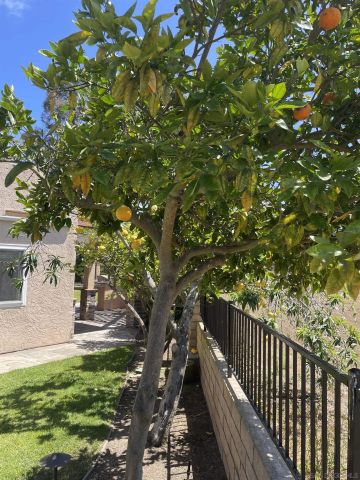 1994 Casablanca Ct., Vista, CA 92081