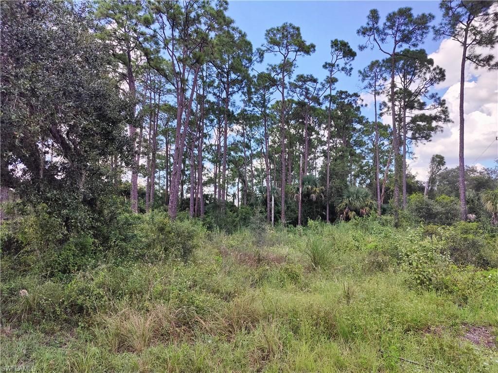 2403 E 19th ST, Lehigh Acres, FL 33972