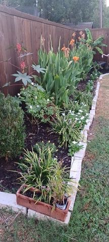 217 Melody Lane, Terrell, TX 75160