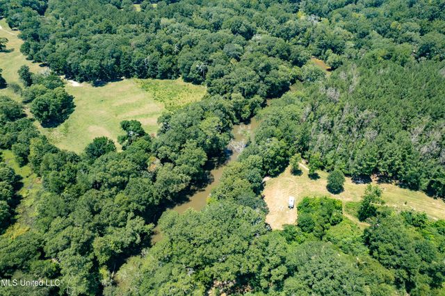 557 Old Hwy 49, Seminary, MS 39479