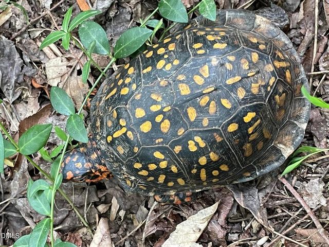 Lot 6 Sepelo Way, Efland, NC 27243