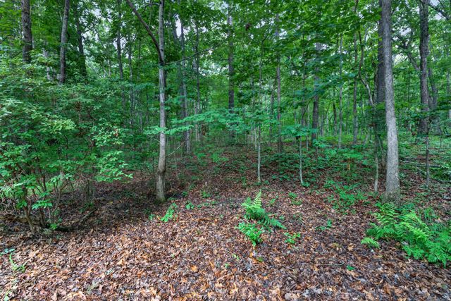 1835 Ridge Cliff Dr, Monteagle, TN 37356