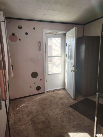 36 E OLIVE Street, Canton, IL 61520