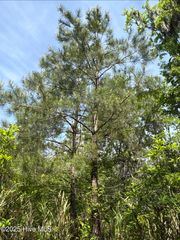 0 Nc 33 Off, Aurora, NC 27806