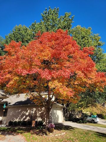 2031 N Cross Creek Drive Se, City Of Grand Rapids, MI 49508