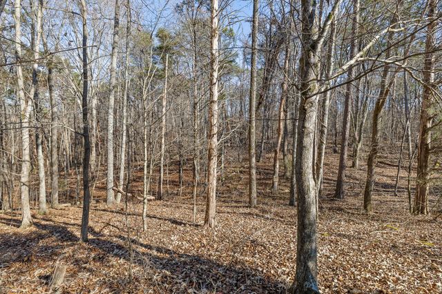 6323 Shirley Pond Road, Harrison, TN 37341