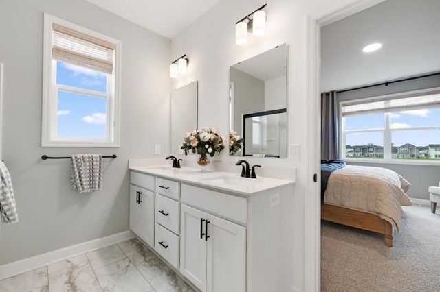 20132 Ginseng Way, Lakeville, MN 55044