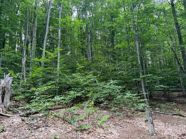 00000 S Bridle Trail, Empire Twp, MI 49630