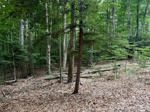 00000 S Bridle Trail, Empire Twp, MI 49630