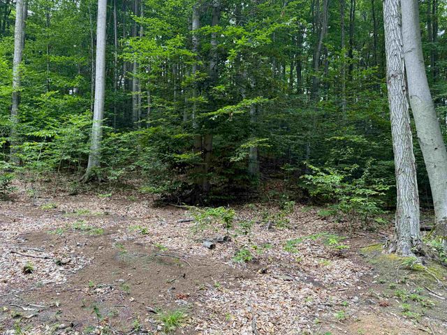 00000 S Bridle Trail, Empire Twp, MI 49630