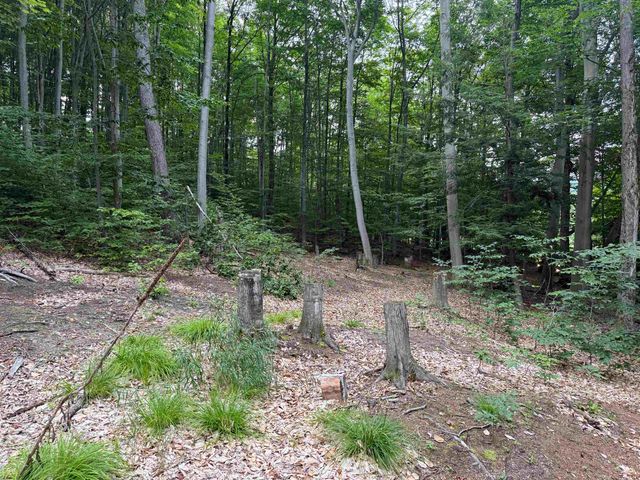 00000 S Bridle Trail, Empire Twp, MI 49630