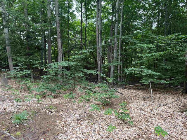 00000 S Bridle Trail, Empire Twp, MI 49630