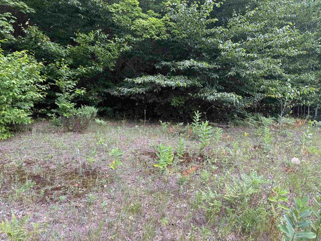 00000 S Bridle Trail, Empire Twp, MI 49630