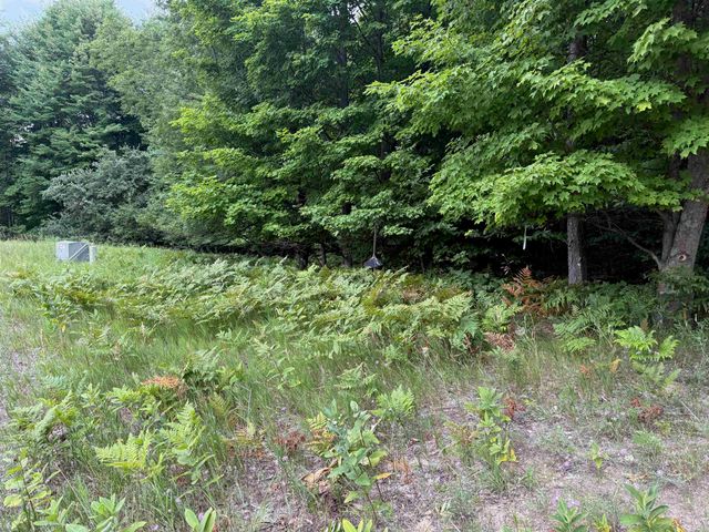 00000 S Bridle Trail, Empire Twp, MI 49630