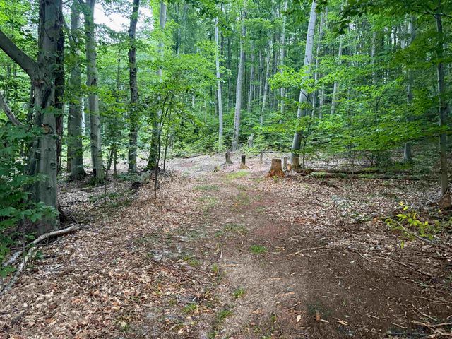 00000 S Bridle Trail, Empire Twp, MI 49630