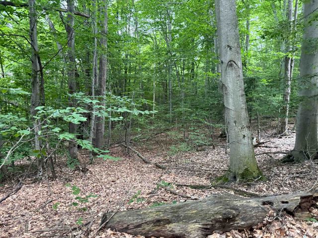 00000 S Bridle Trail, Empire Twp, MI 49630