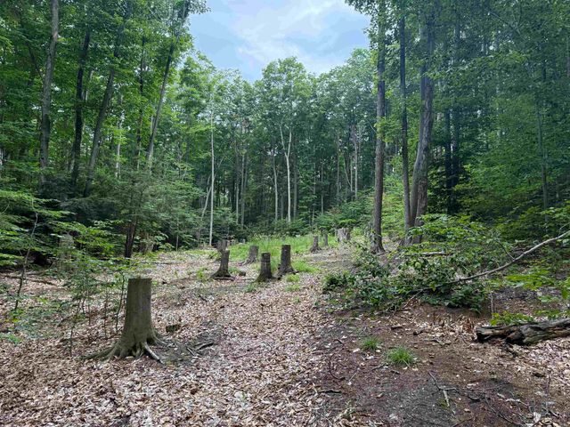 00000 S Bridle Trail, Empire Twp, MI 49630