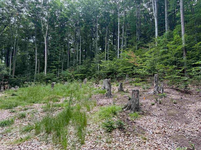 00000 S Bridle Trail, Empire Twp, MI 49630