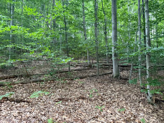 00000 S Bridle Trail, Empire Twp, MI 49630