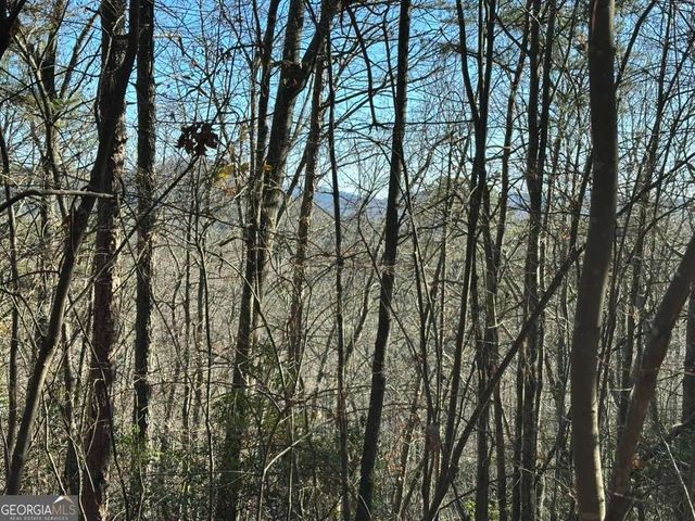 LOT 1 Gold Valley Road, Sautee Nacoochee, GA 30571