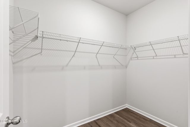 100 Nesbitt Court, Jacksonville, NC 28546