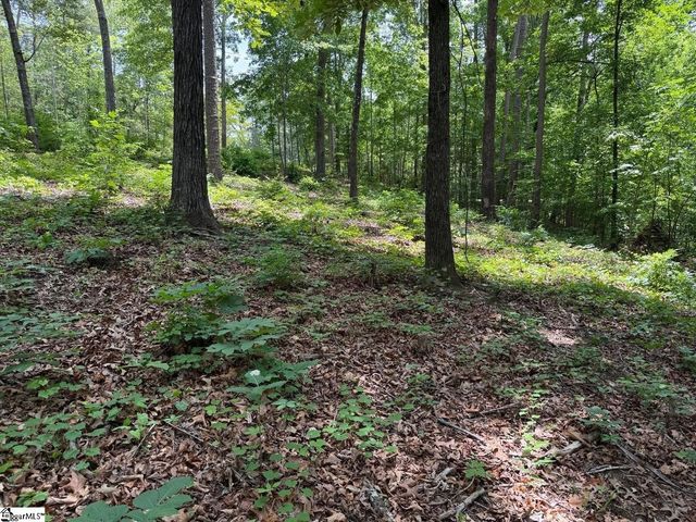 9 Nautica Point, Six Mile, SC 29682