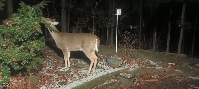 6909 Copper Mountain Court, Indianapolis, IN 46236