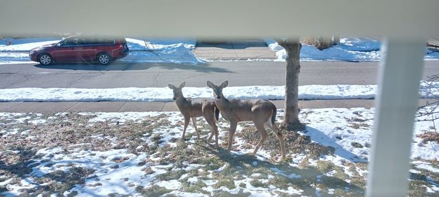 6909 Copper Mountain Court, Indianapolis, IN 46236