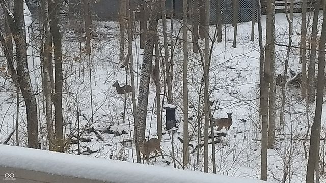 6909 Copper Mountain Court, Indianapolis, IN 46236