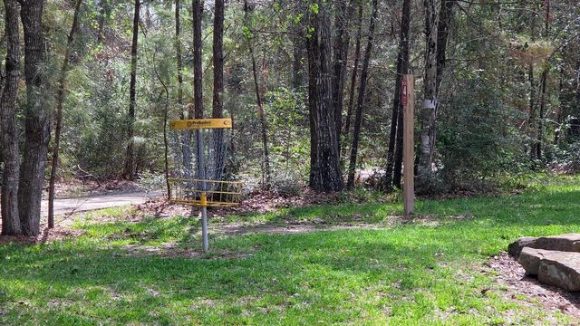 6040 Windward Falls Way, Porter, TX 77365