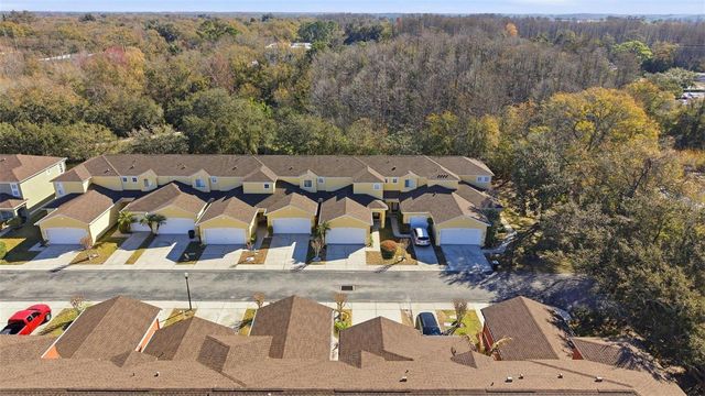 11005 BLAINE TOP PLACE, Tampa, FL 33626