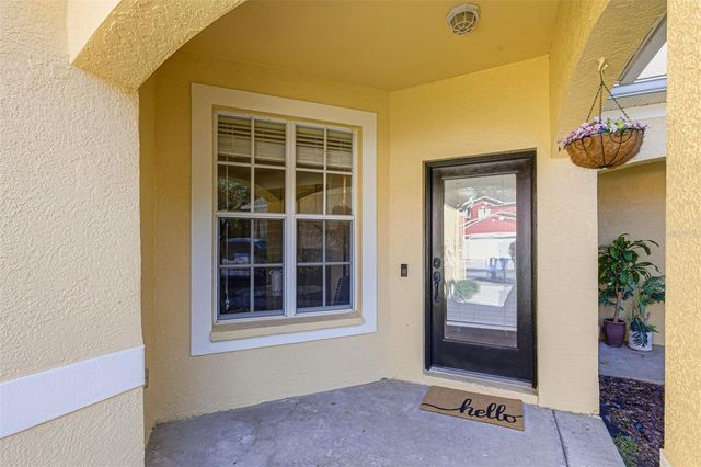 11005 BLAINE TOP PLACE, Tampa, FL 33626