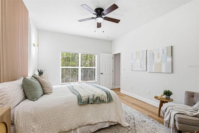 11005 BLAINE TOP PLACE, Tampa, FL 33626