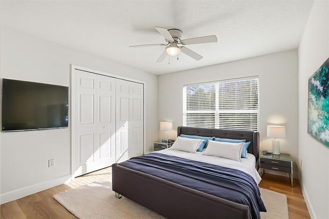 11005 BLAINE TOP PLACE, Tampa, FL 33626