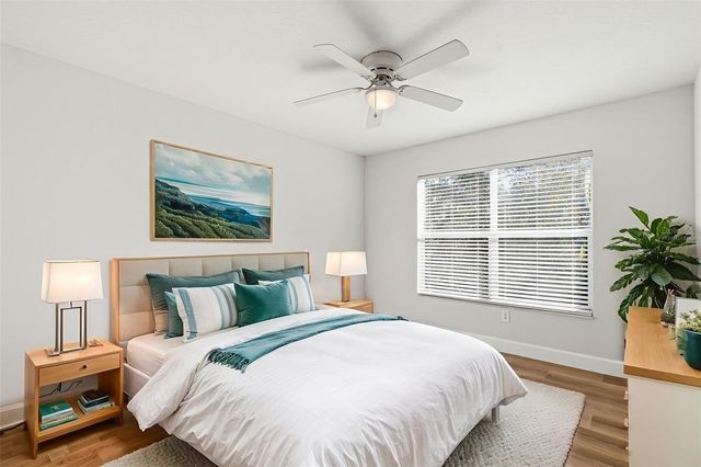 11005 BLAINE TOP PLACE, Tampa, FL 33626