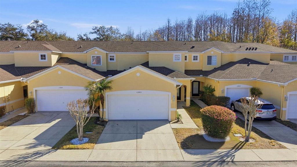 11005 BLAINE TOP PLACE, Tampa, FL 33626