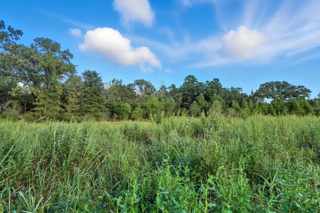 TBD Tx-19, Riverside, TX 77367