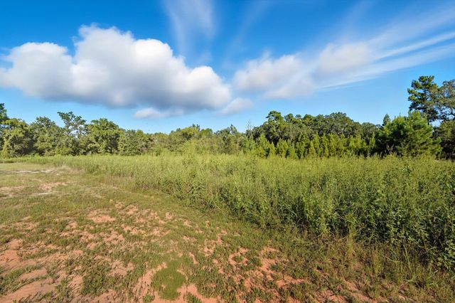 TBD Tx-19, Riverside, TX 77367