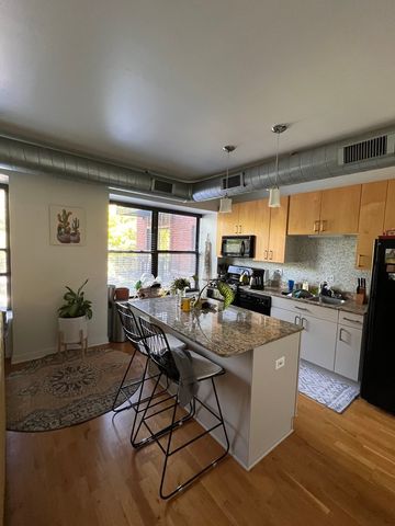 4537 S Drexel Boulevard 203, Chicago, IL 60653