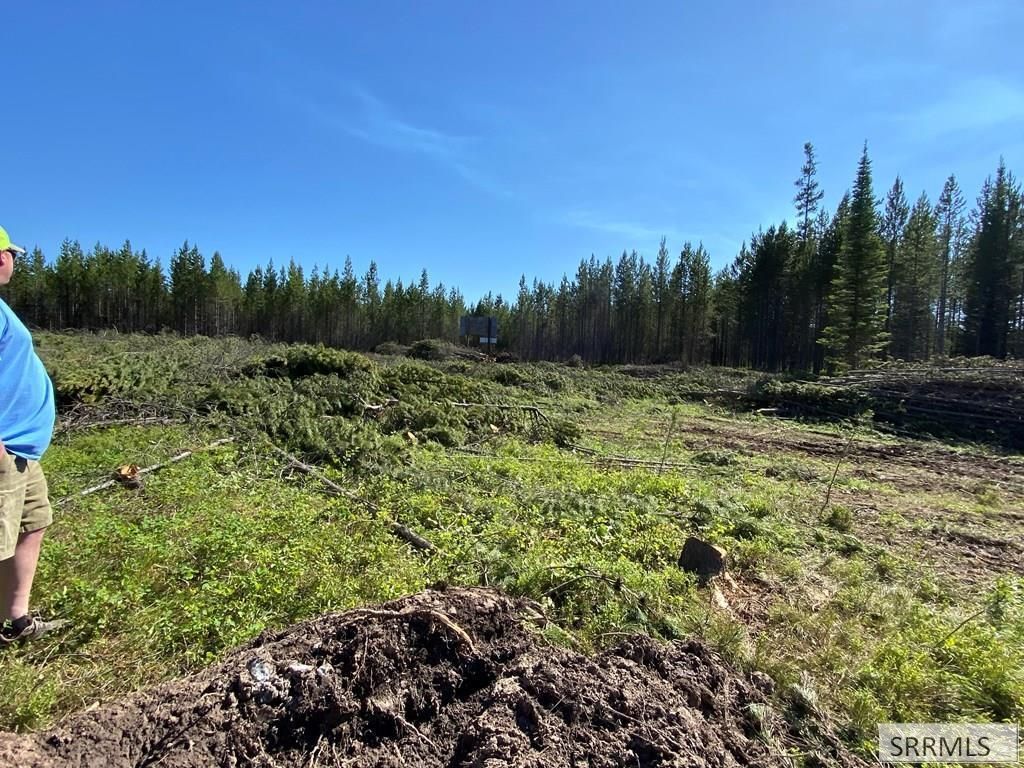 Image 8 of property listing at 4417 Hwy 20, Island Park, ID 83429