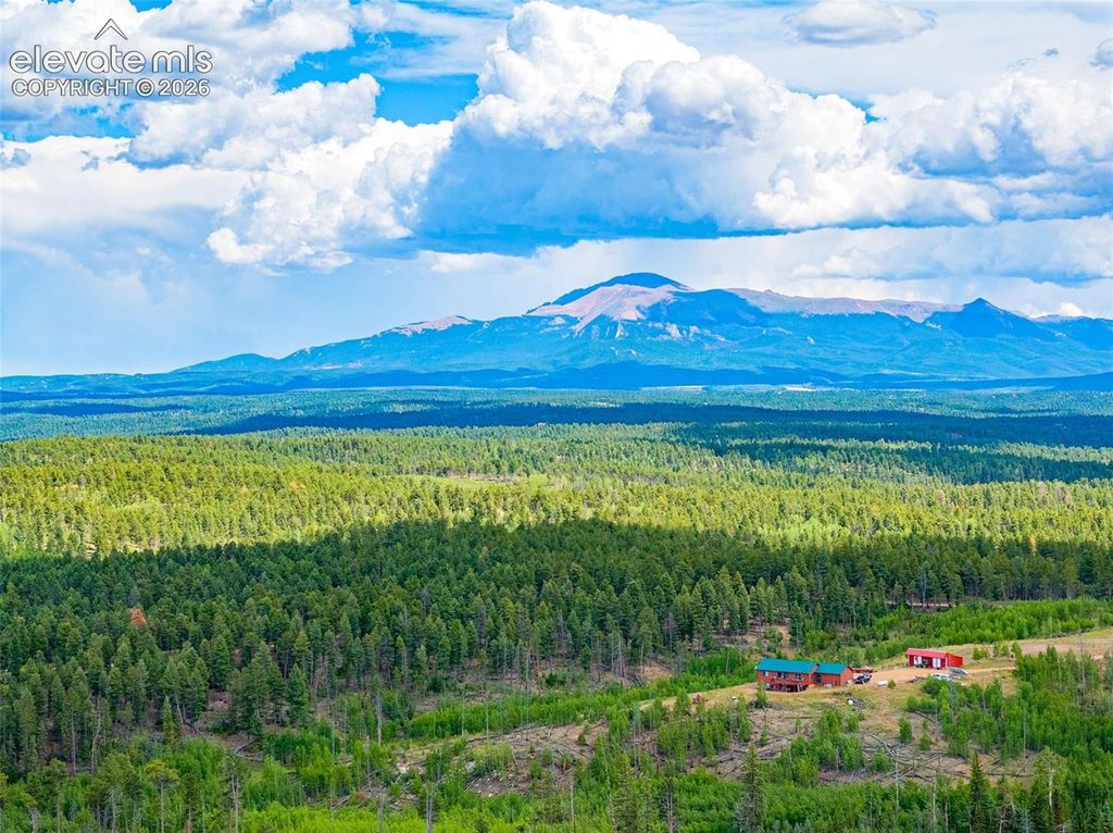 Unit 4 County Road 51, Florissant, CO 80816 — exterior