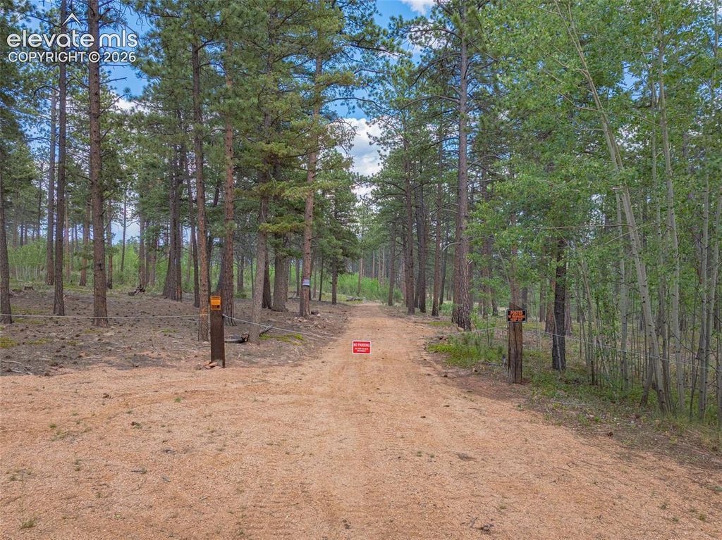 Unit 4 County Road 51, Florissant, CO 80816 — photo 3