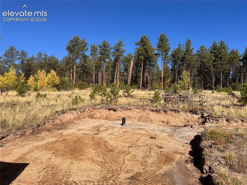 Unit 4 County Road 51, Florissant, CO 80816 — photo 4