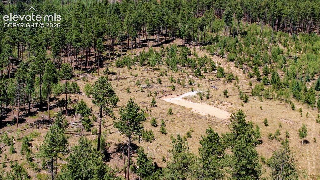 Unit 4 County Road 51, Florissant, CO 80816 — photo 5